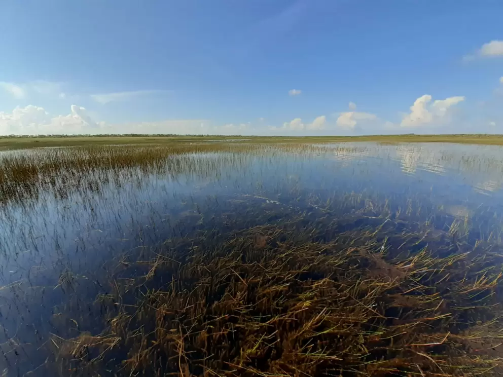 The clear water and horizon. 
