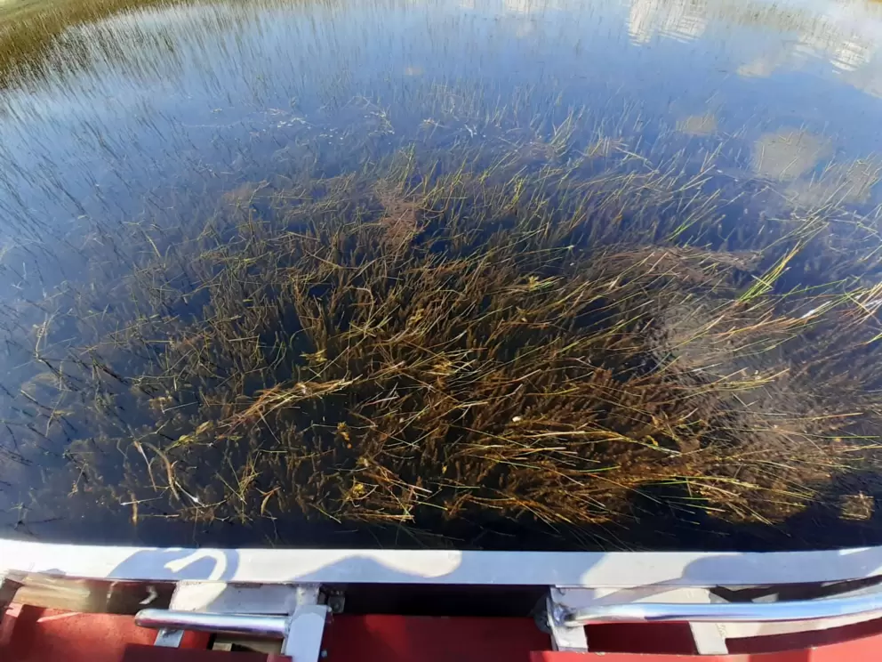 The water is so clear- you can see everything below you!