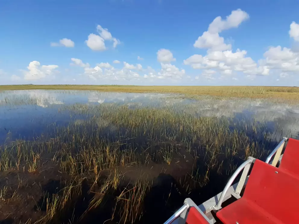 The boat and the everglades. 