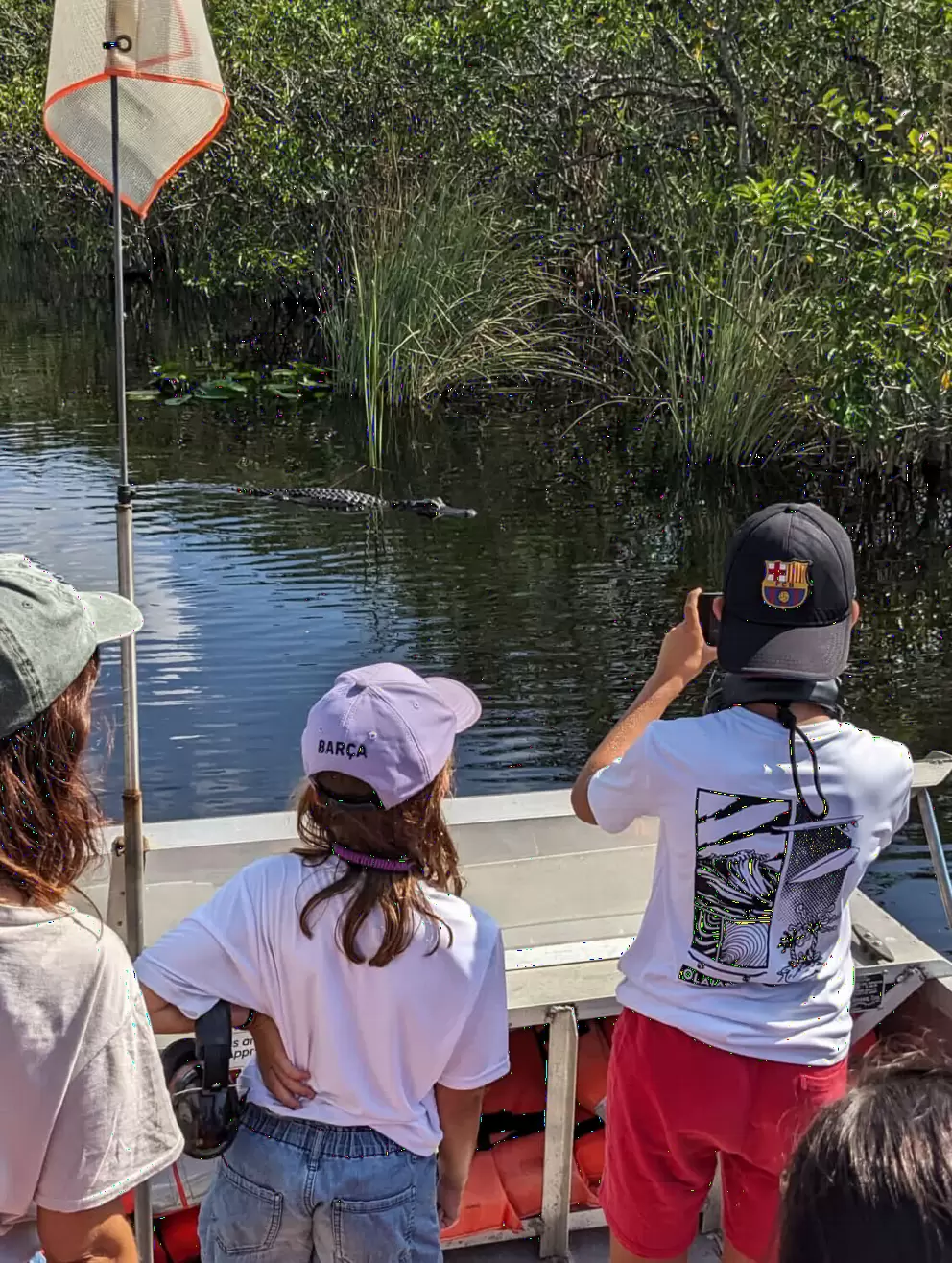 Young passengers take photos of an alligator. 