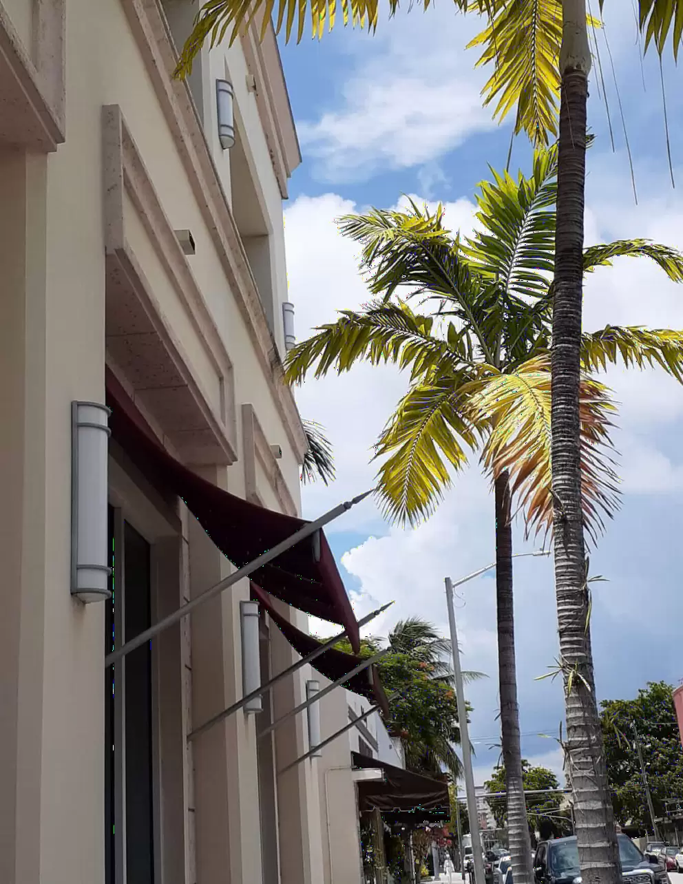 Skinny palms are cute. 