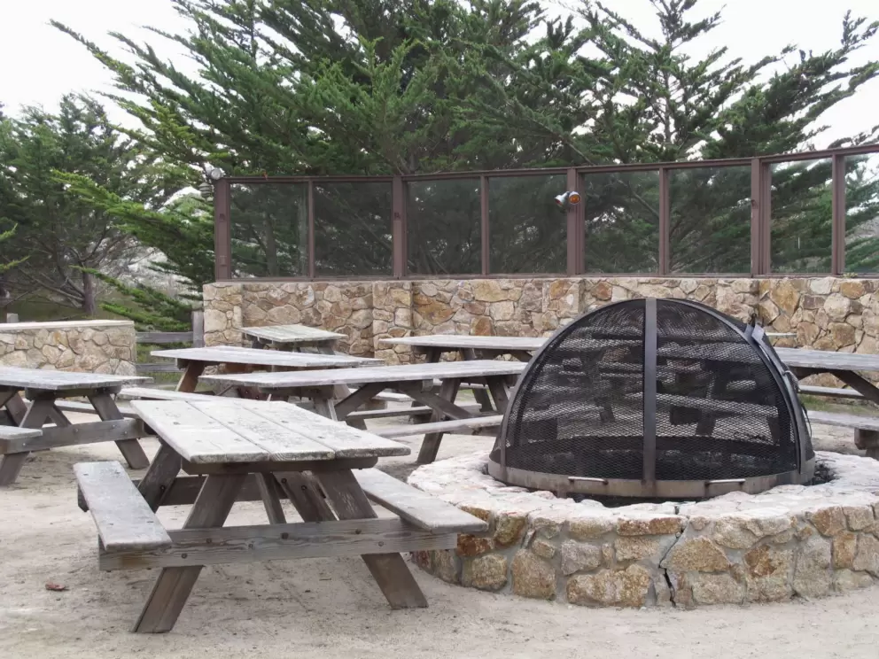Fire pit and picnic tables.
