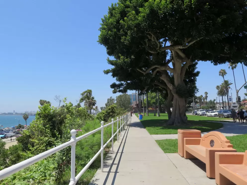 Walkway at Bluff Park.