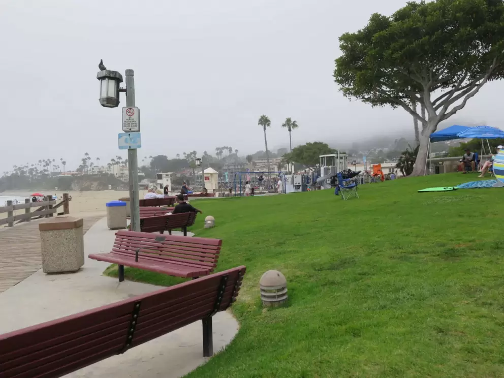 The grassy hill by the playground. 