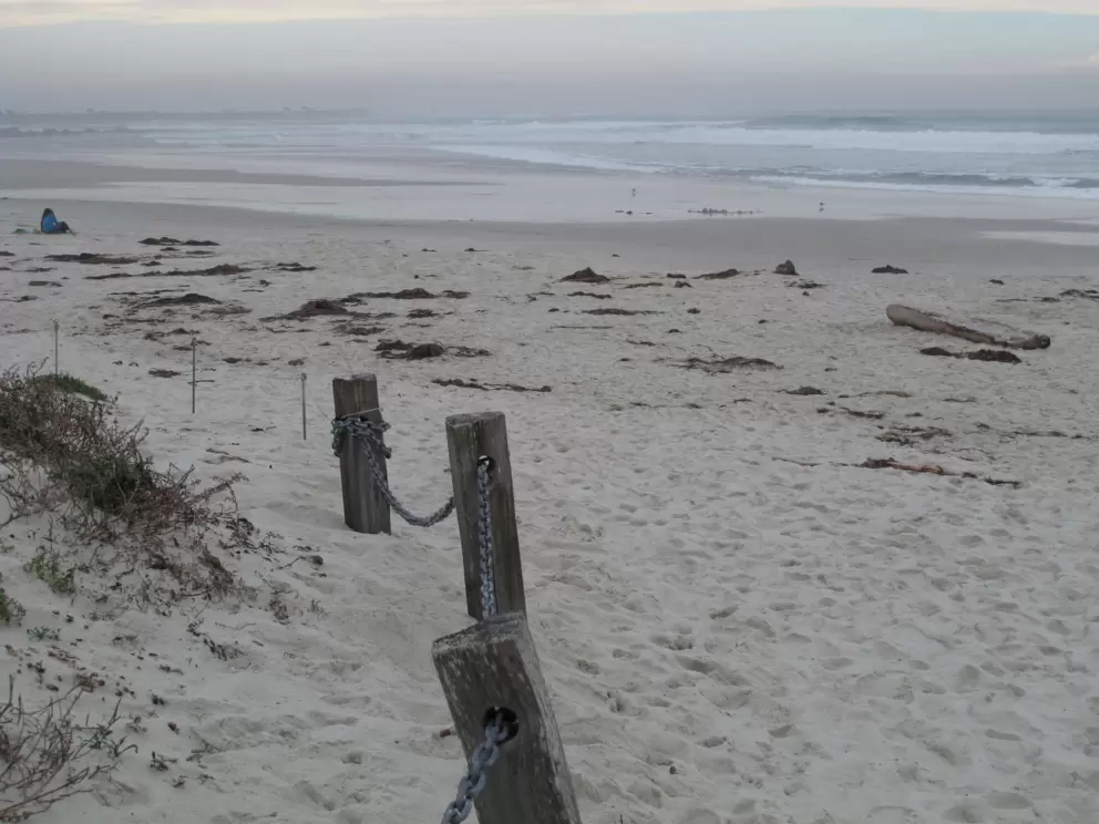 Muted pinks and blues of Asilomar State Beach.