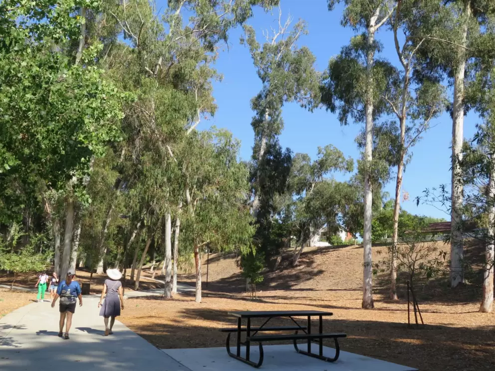 Picnic table in the park. 