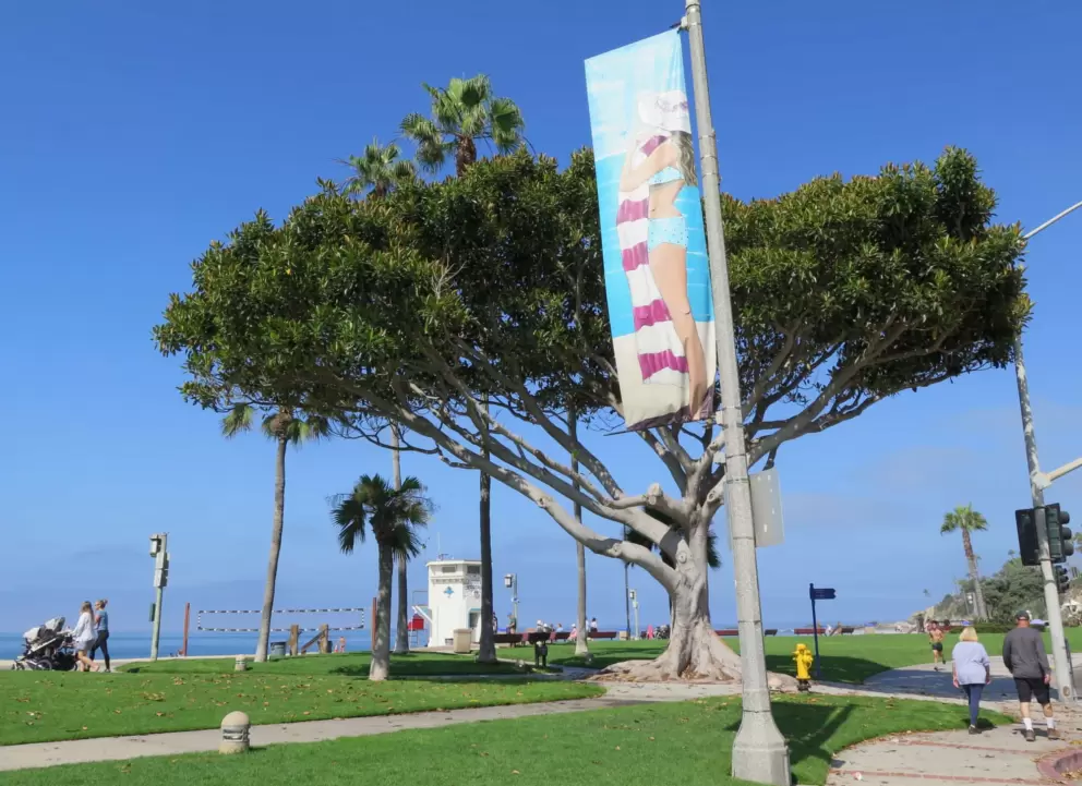 Tree at the lawn, and beach-themed flag. 