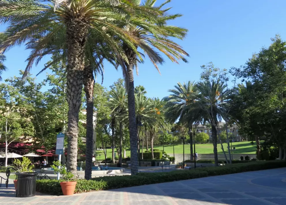 The fountain area with Grand Park behind. 