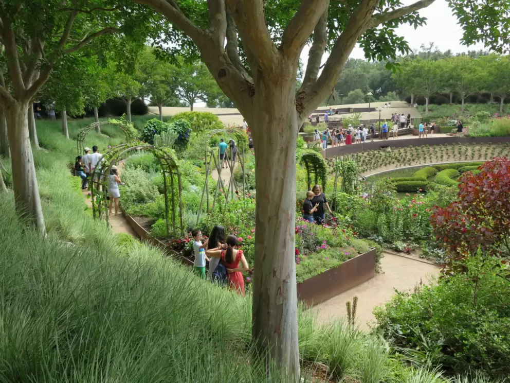 Ornamental grasses, archways, and sweet trees, in the garden.