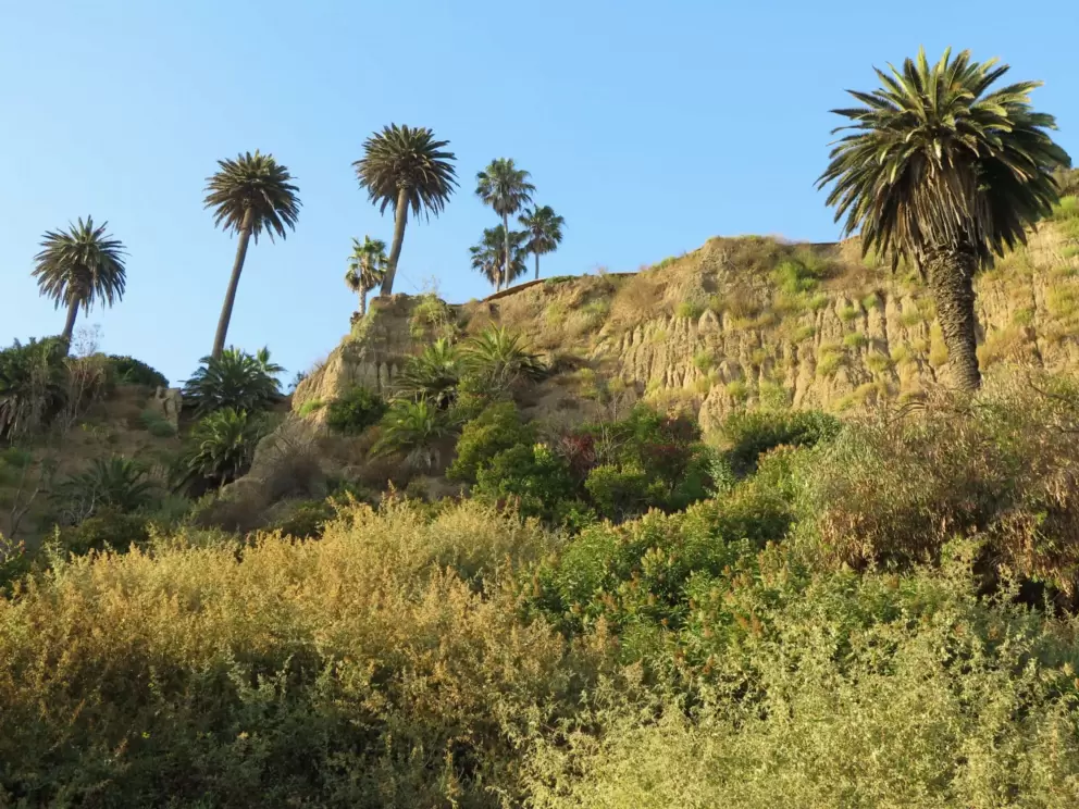 Cliffs above Highway 1 in Malibu, golden at end of day. 