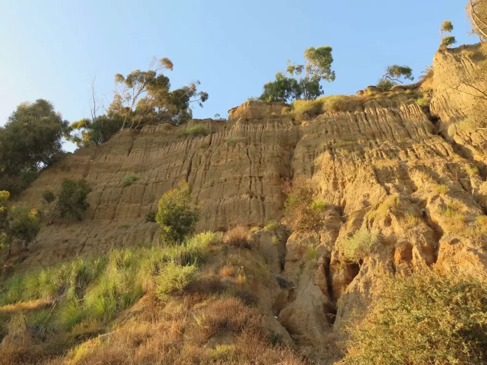 Incredible cliffs above Highway 1 in Malibu as you near Santa Monica. 