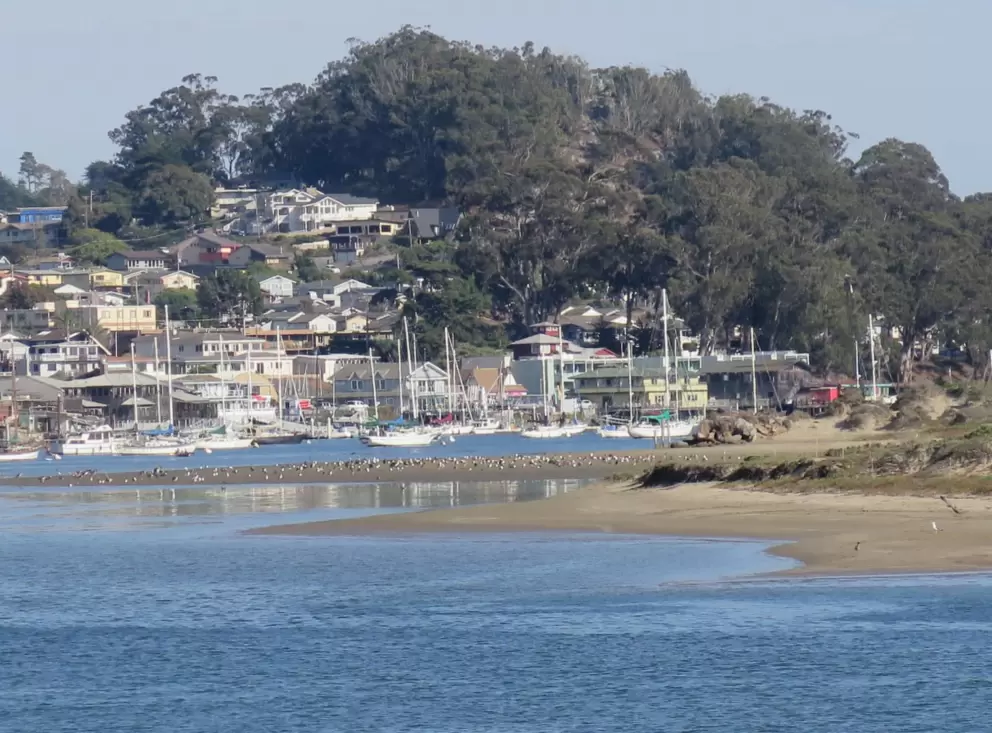 Views of the estuary. 