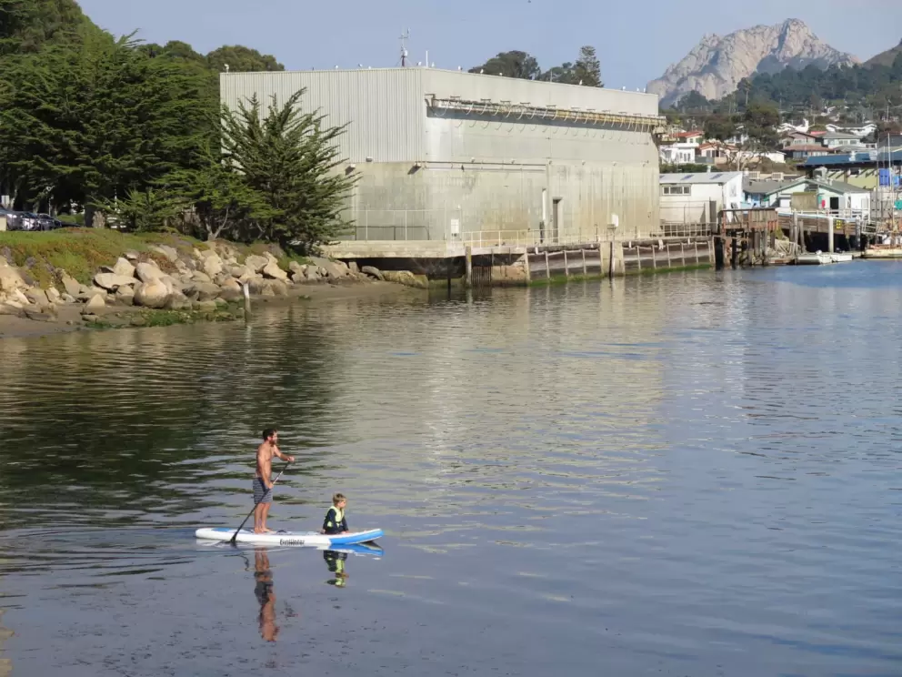 A father paddling with his son. 