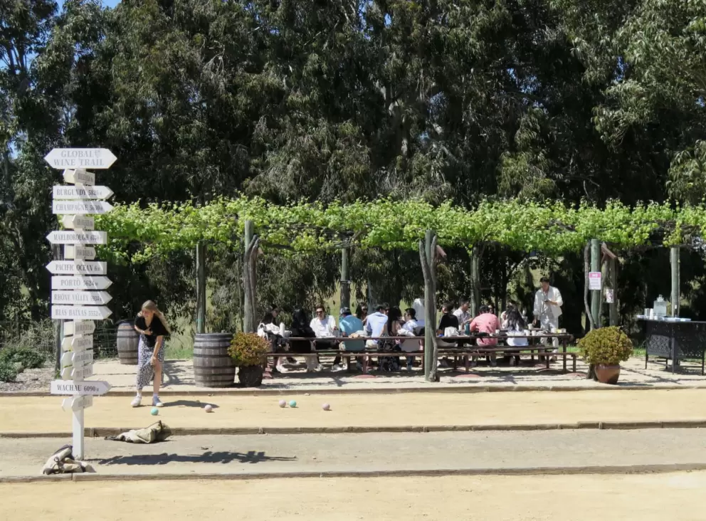 Sitting on long picnic tables under a grape vine trellis. 