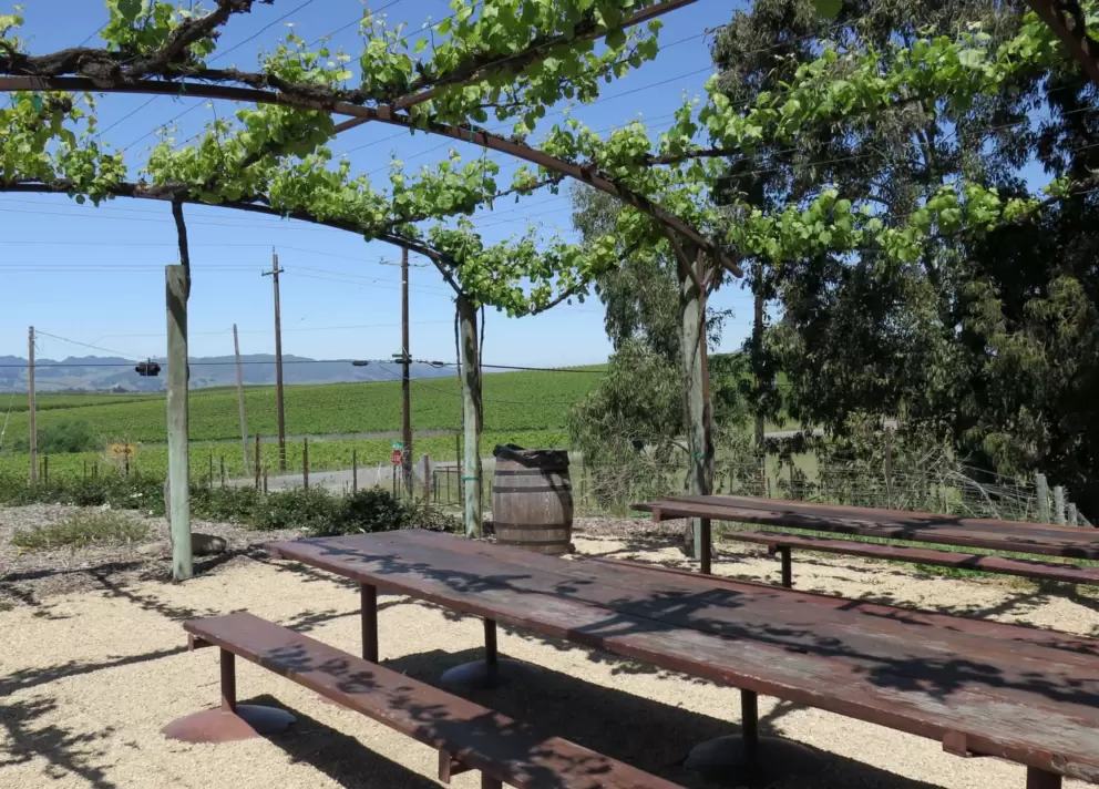 Picnic tables under the trellis.