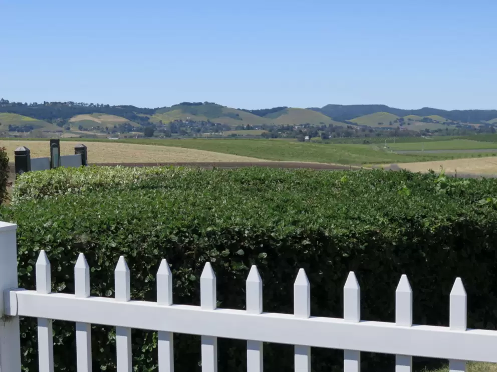 White picket fence and views of the vineyards.