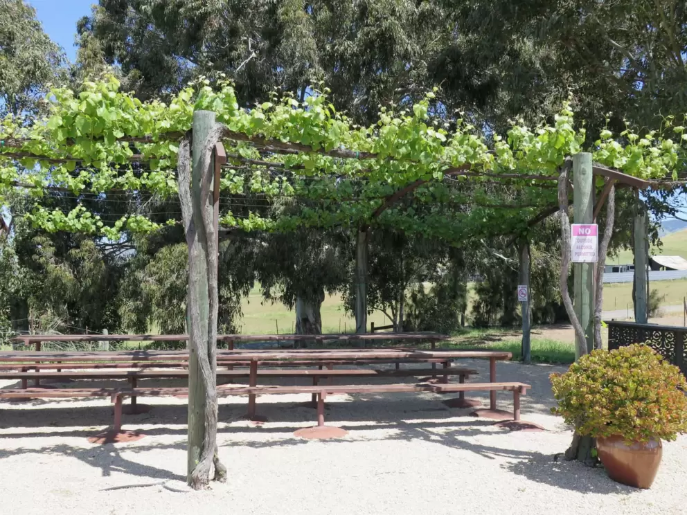 A pretty trellis and a strand of trees behind.