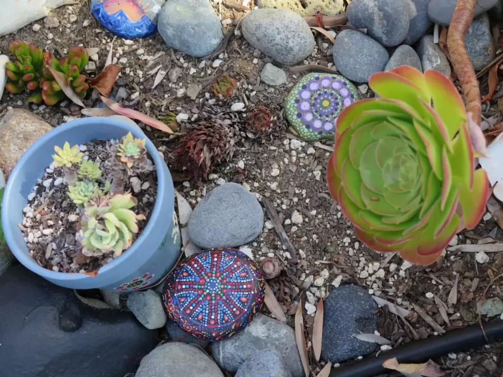 Painted rocks in a garden on Emerald Circle. 