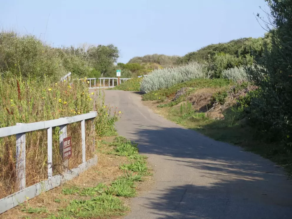Flowers along the path in August. 
