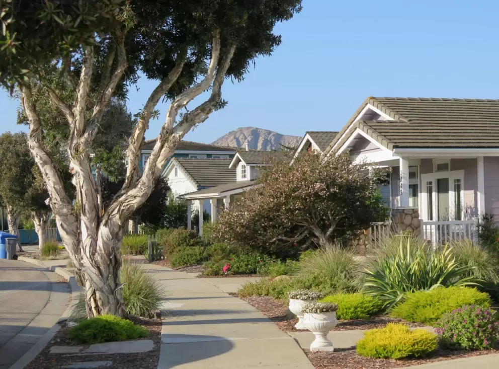 Lovely houses with gardens, on Emerald Circle, and Morro Rock in the distance. 