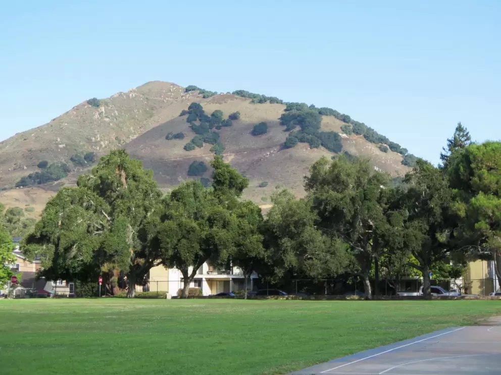 Views of the mountain called Cerro San Luis, from Emerson Park. 