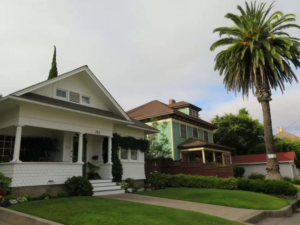 Canary palm and Victorian houses on Buchon Street at the top of the hill. 
