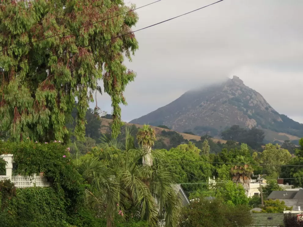 Bishop Peak makes an amazing backdrop. 