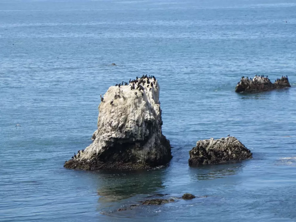 We named this one Cathedral Rock!