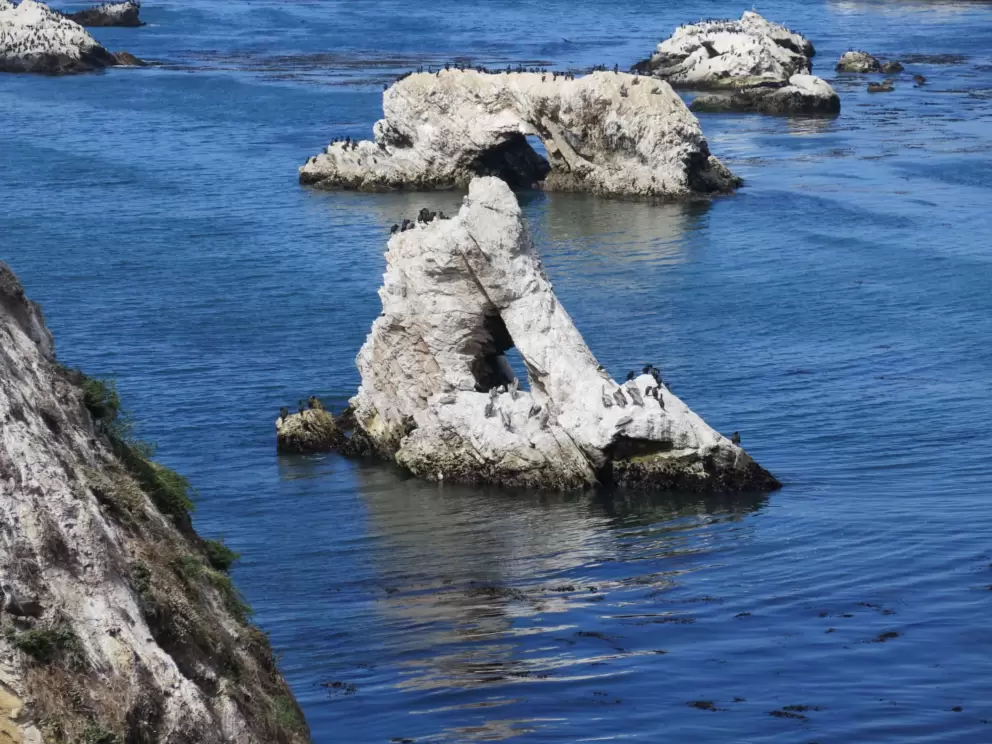 Harp Rock is what we called this one. Make up your own names!