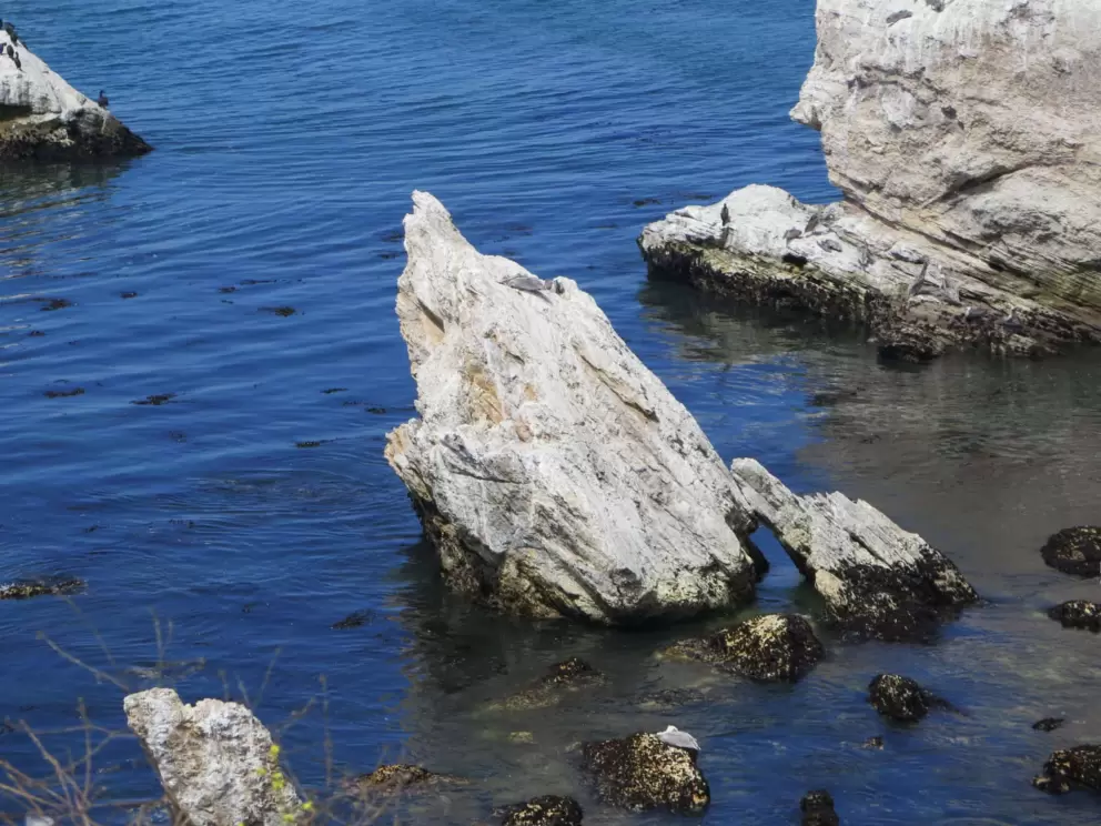 Crystal Rock is what we named this one. 