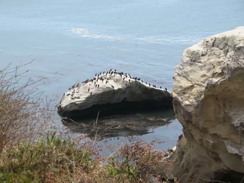 Clearly this rock is called Salmon Fillet!