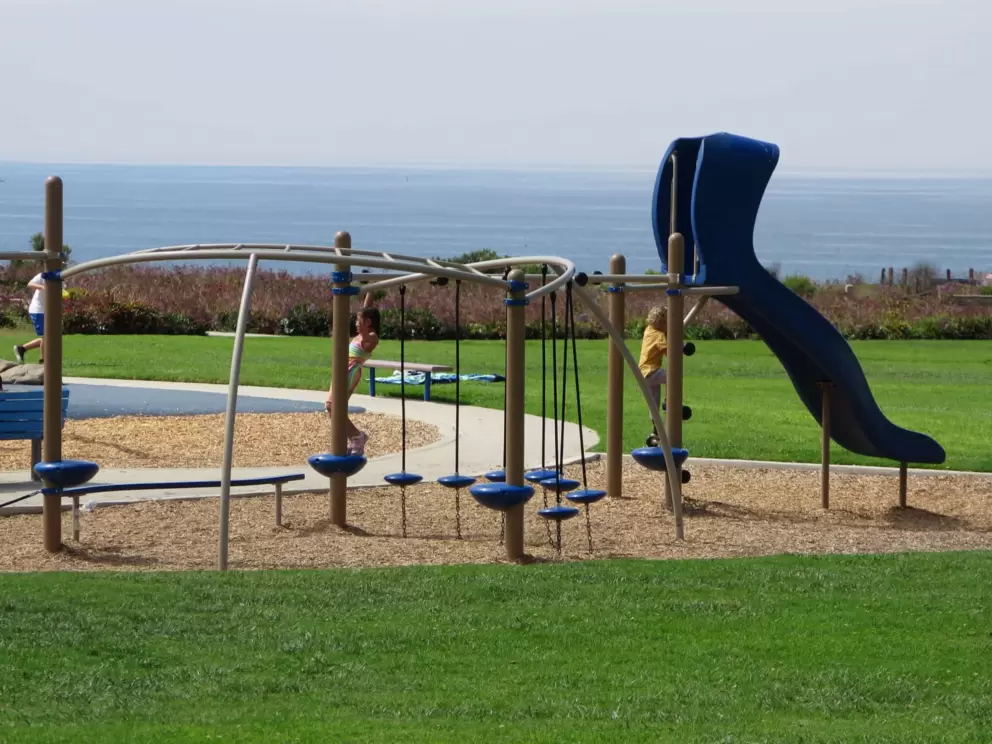 Slide and suspended stepping stones. 