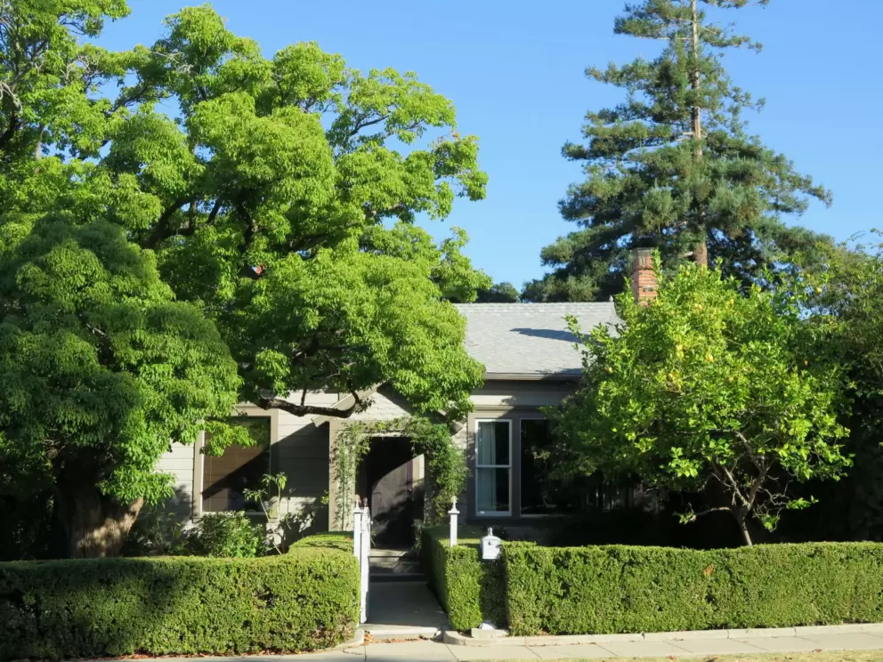 A delightful house. 