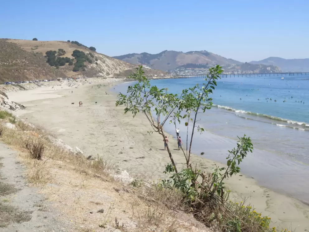 You can sit in your car and enjoy the view from above the beach.