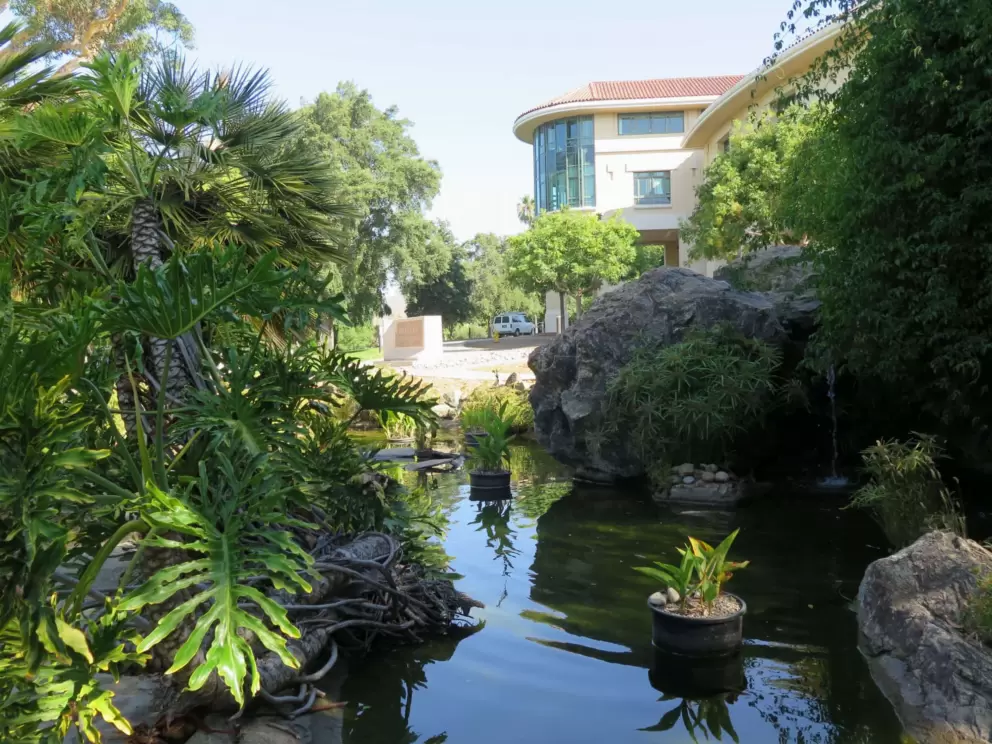 Pond beside Orfalea College of Business. 