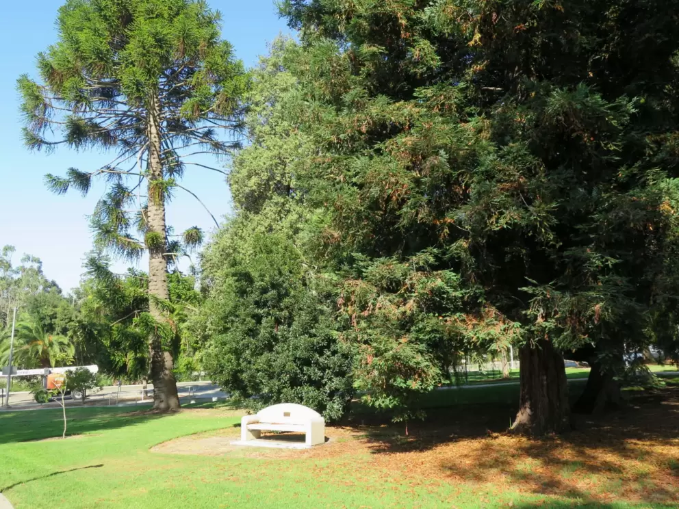 Wonderful O'Neill Green. 