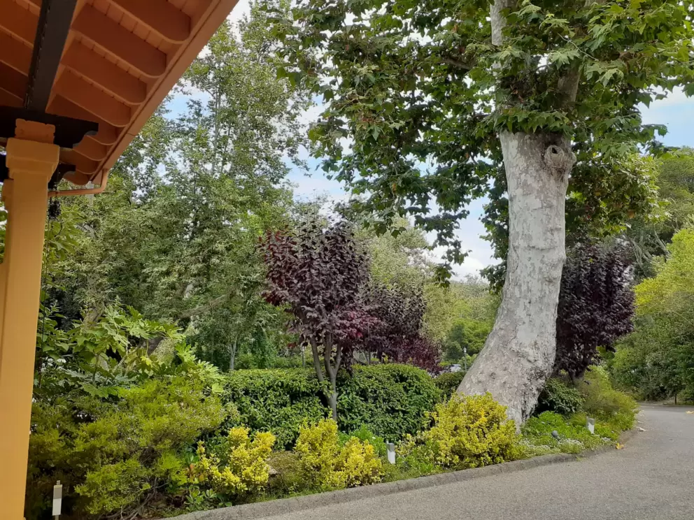 Beautiful colors in the garden at Sycamore Mineral Springs Resort. 