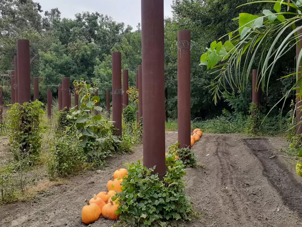 Pumpkins and strange pillars at the Secret Garden. 