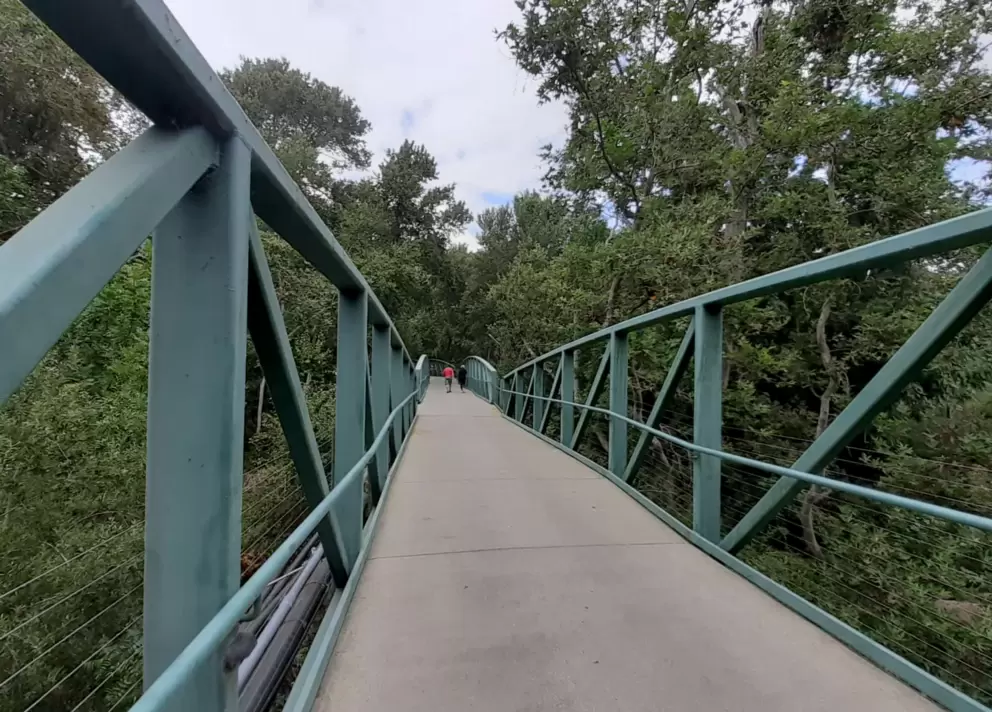 The green bridge! It takes you up high!