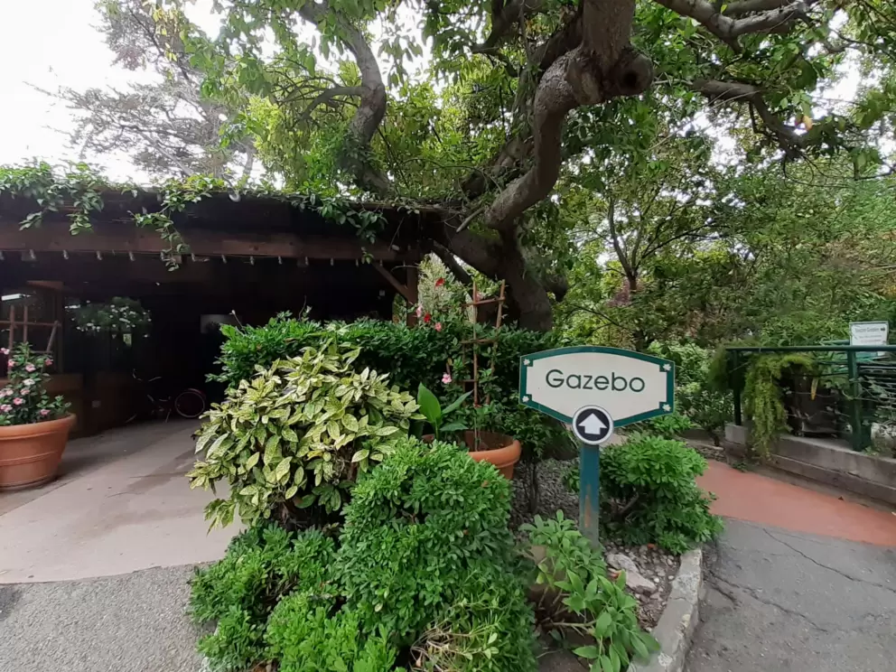 Exploring the grounds of the Sycamore Mineral Springs Resort. 