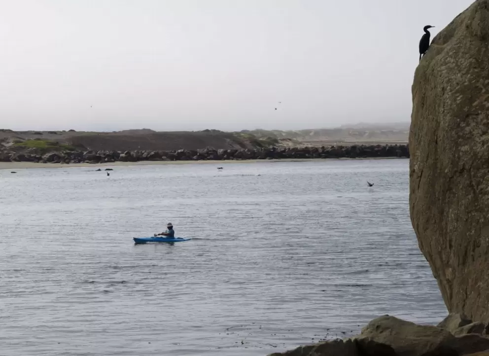 Kayaker and bird on a boulder. 