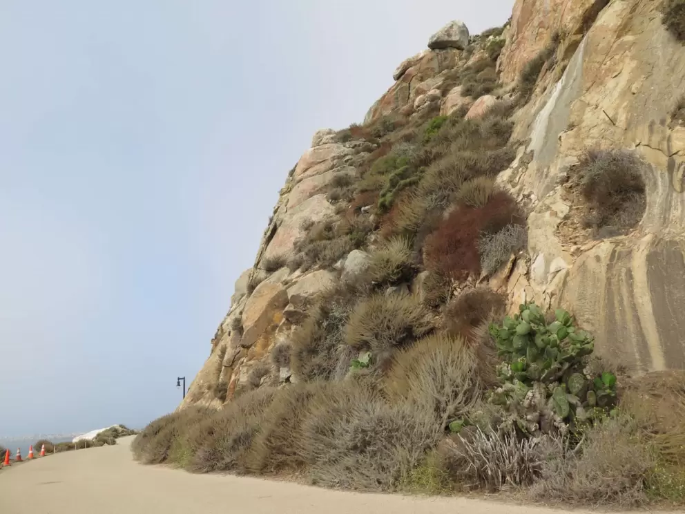 The patterns of Morro Rock. 