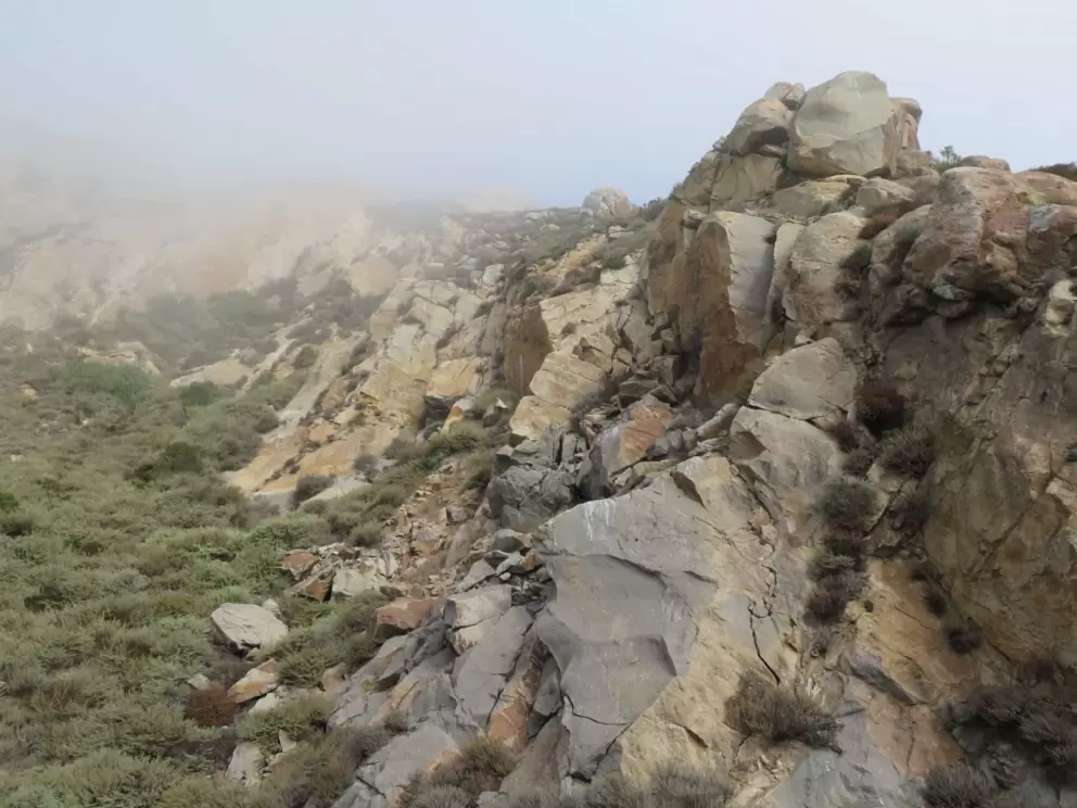 It's wonderful to look up at Morro Rock. 