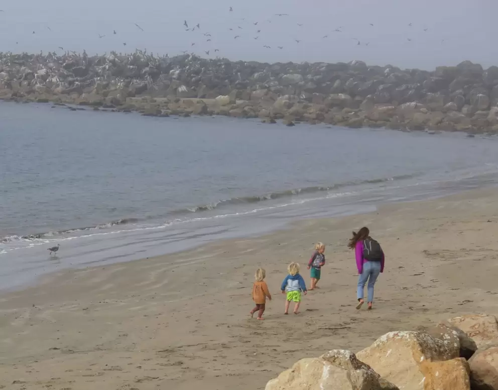 A mom runs at the beach below the path with her three sons. 