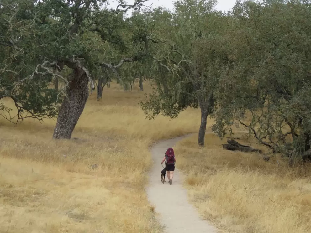 Walking along the trail with a dog and baby in a backpack. 