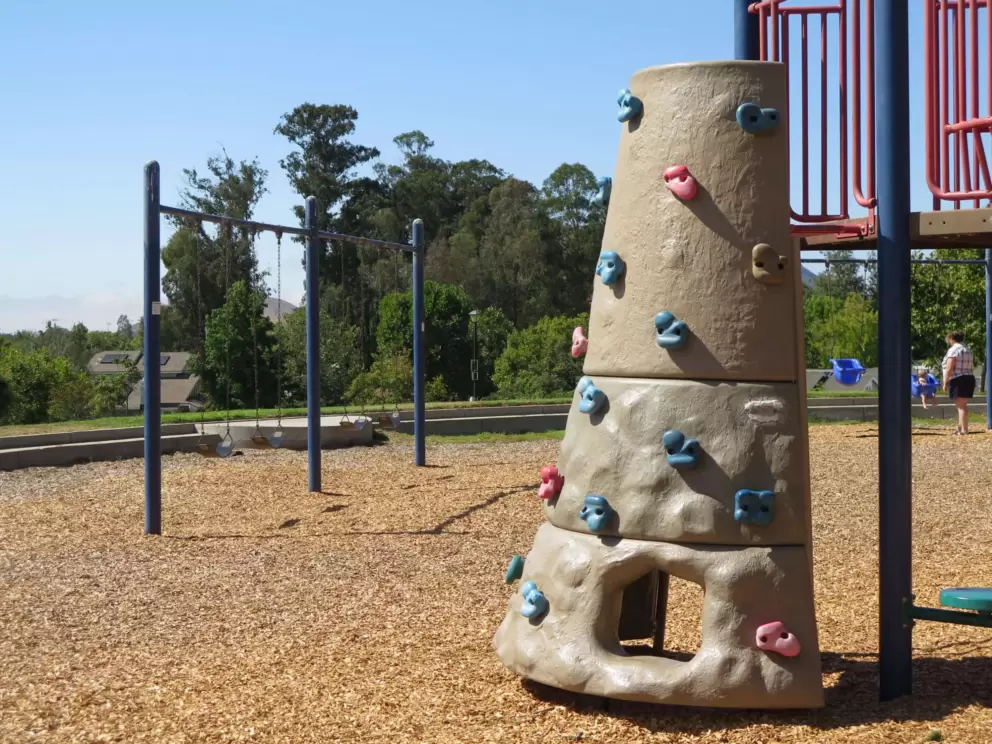 Swings, baby swings in blue plastic, and rock climbing area. 