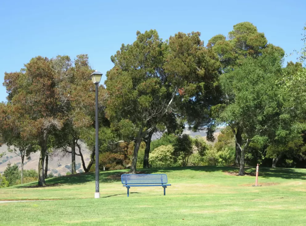 Bench by the lawn and hill. 