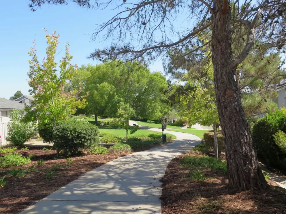 Winding path behind the houses on Fuller Road. 