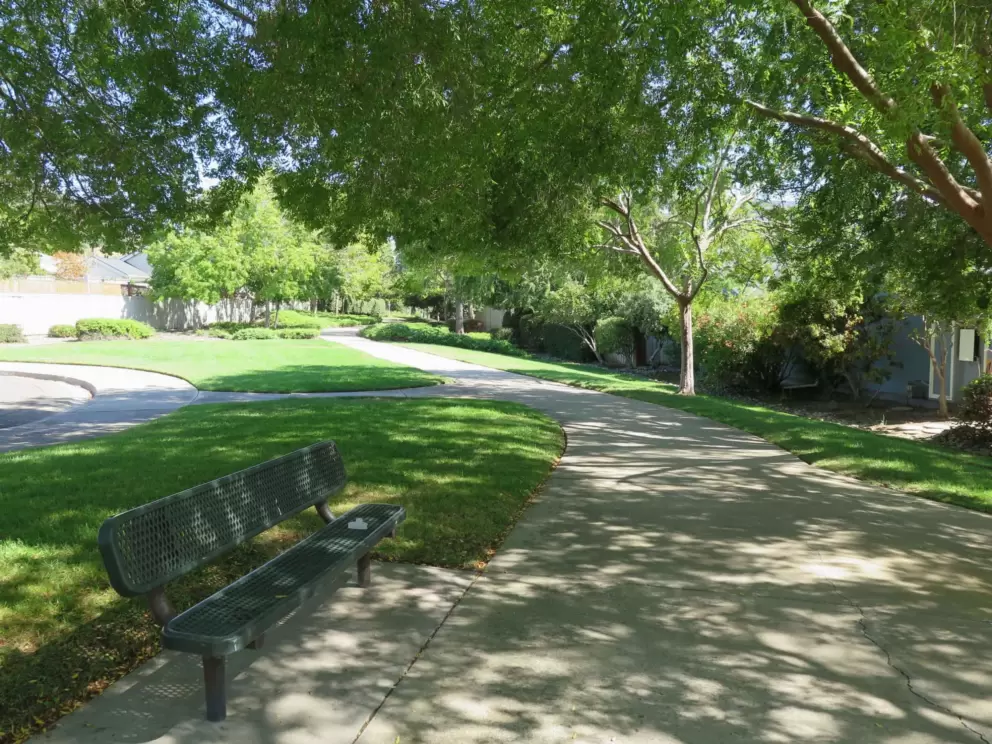 Shady bench on the walking path. 