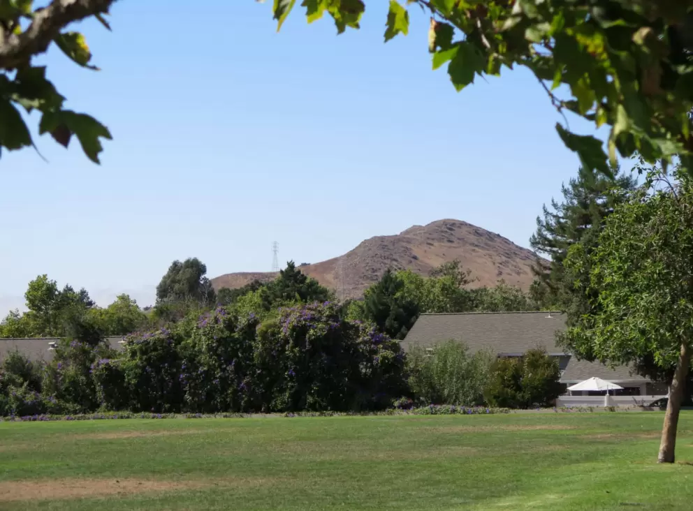 View of South Hill from the lawn. 